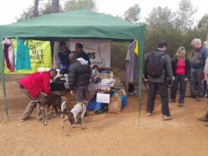 - Evento Canicross TERRASSA '16 -