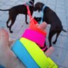 Correa de perro "todo terreno" de 4 m. - Imagen 3