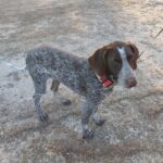 IMG-20240927-WA0124