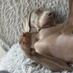 IMG-20241011-WA0098