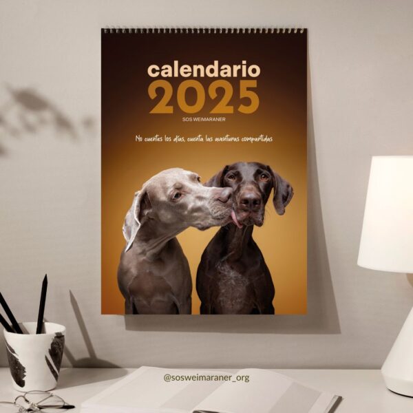 CALENDARIO 2025