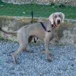 IMG-20241124-WA0038