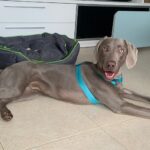 IMG-20250108-WA0083