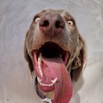 IMG-20250131-WA0047