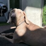 IMG-20250523-WA0113