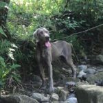 IMG-20250526-WA0051