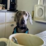 IMG-20260126-WA0007