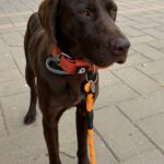 IMG-20260428-WA0162