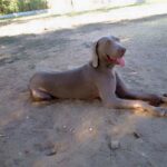 IMG-20260517-WA0014