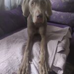 IMG-20260624-WA0058