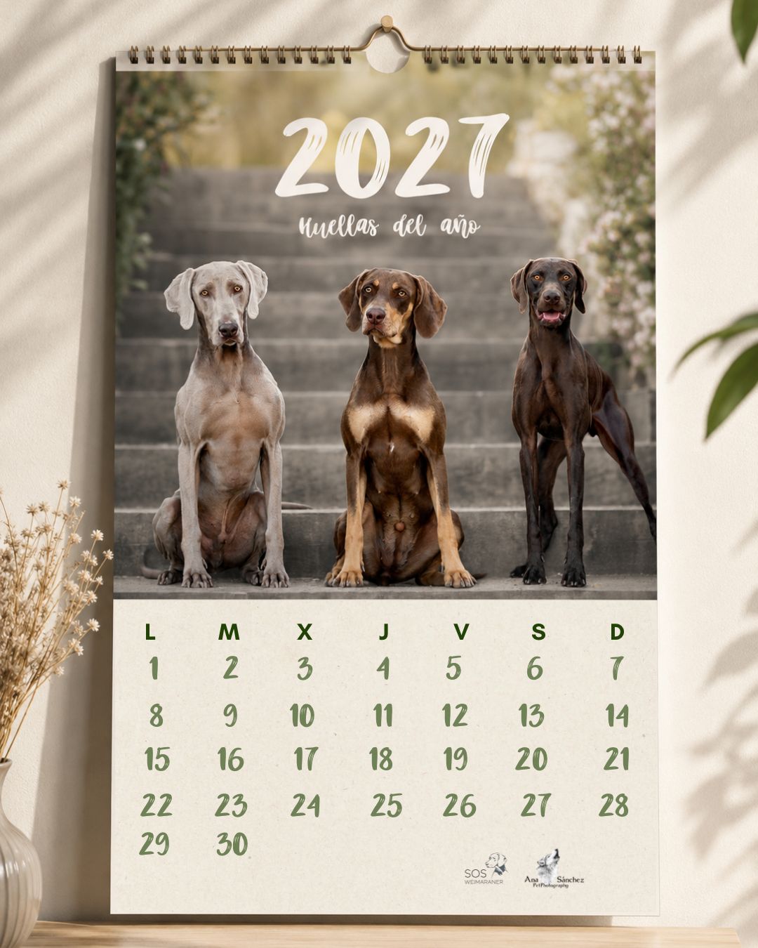 CALENDARIO 2027