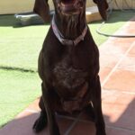 IMG-20260919-WA0067