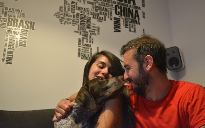 blog_dalifinalesfelices