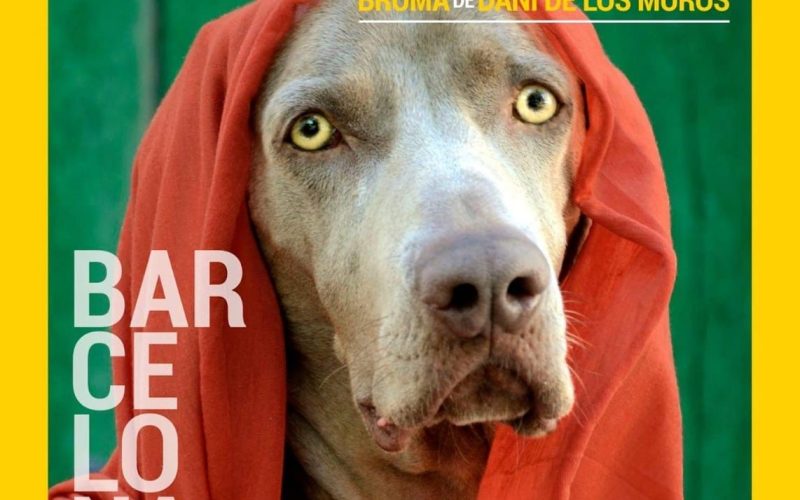 blog_eventos_danidelosmuros
