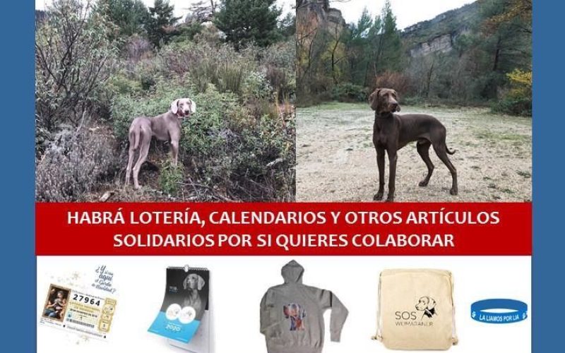 quedadanavideña_madrid19